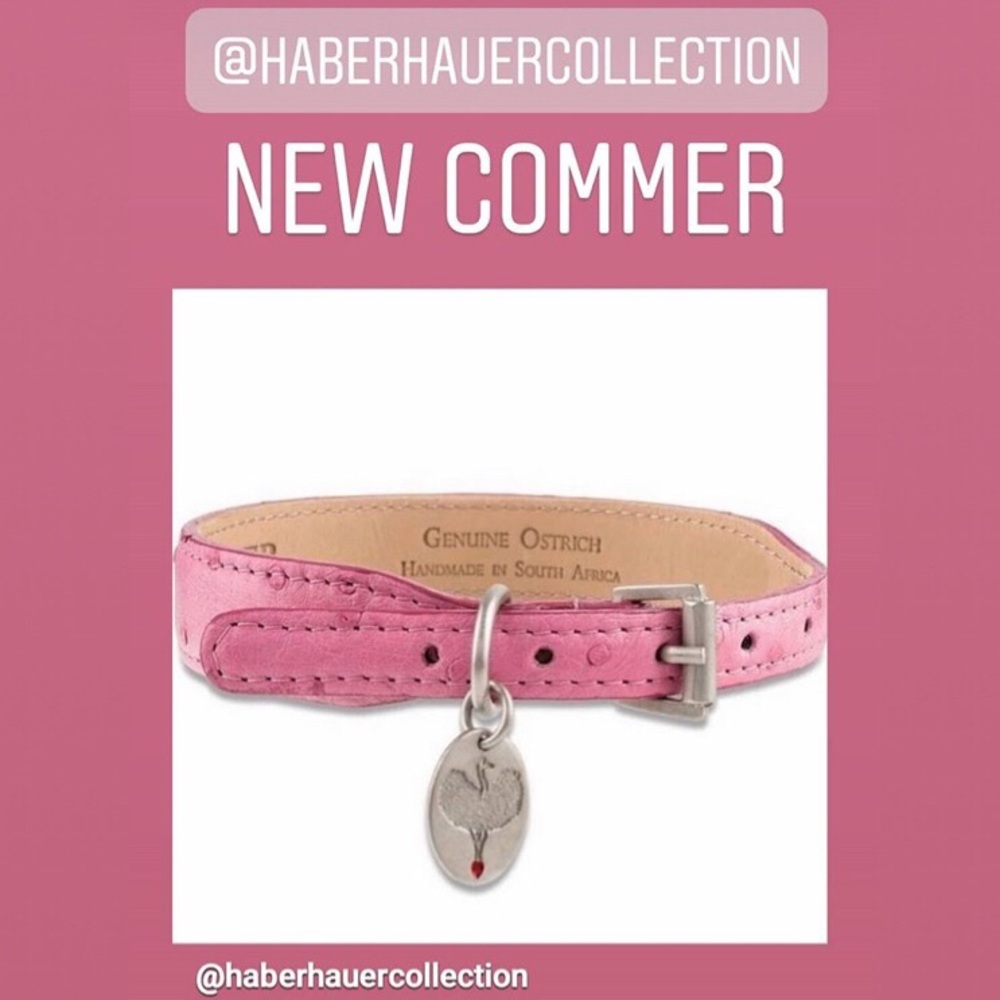 Handmade Ostrich Dog Collar
